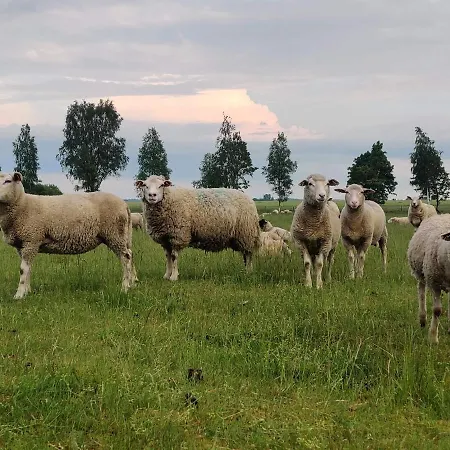 Maehansu Tourist Farm Venkovský dům *